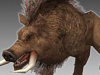 Wild Boar